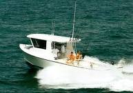 Deap sea fishing trips
